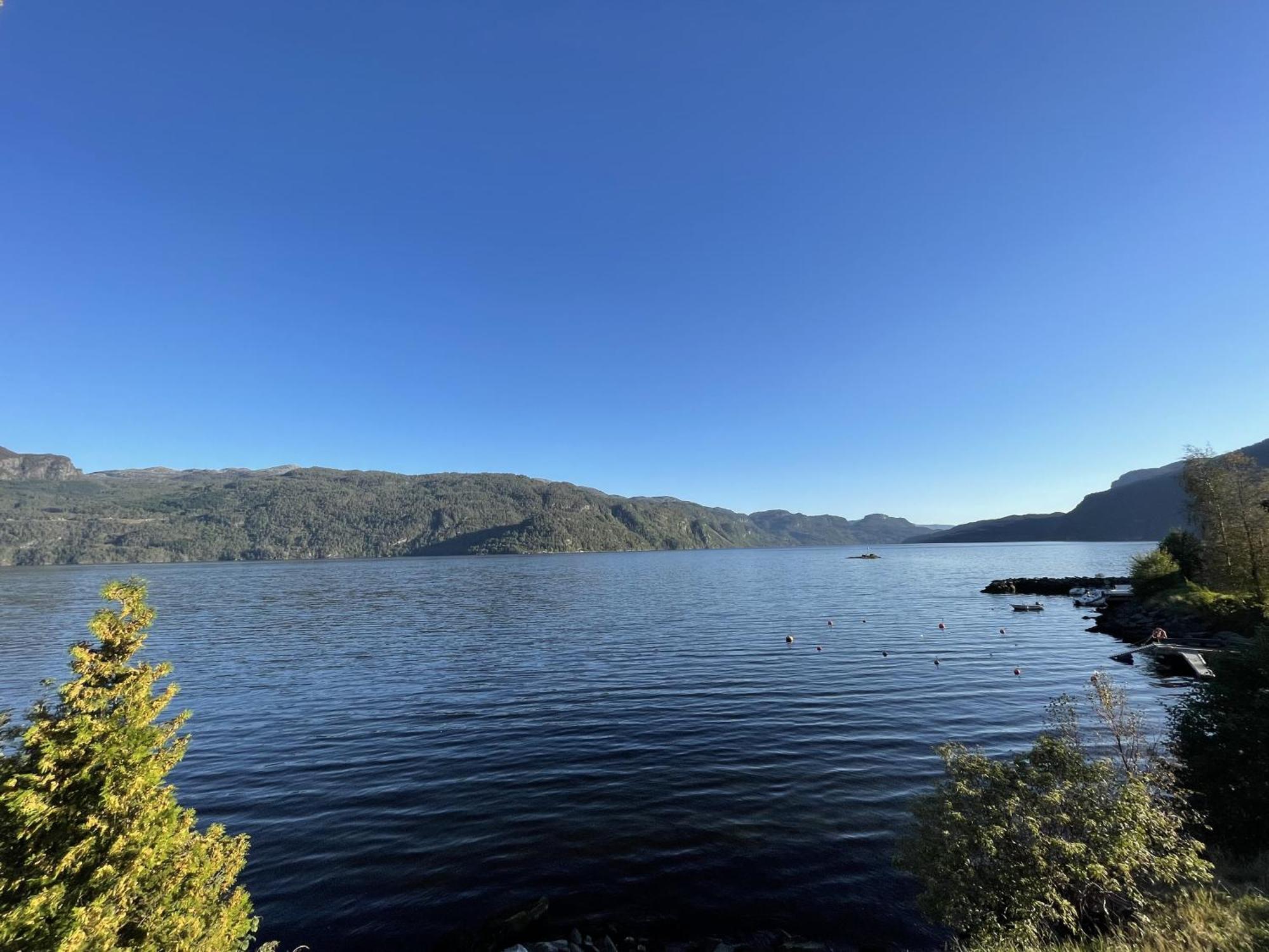 Sauda Fjord Camping Saudasjøen المظهر الخارجي الصورة